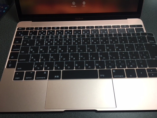 [New Macbook 12" KeySkin] キースキン New MacBook 12インチ用 キーボードカバー ブラック &ホワイト (ブラック) 